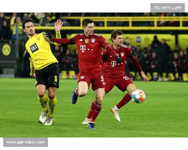 霍芬海姆客场表现强势 德国杯对圣保利有望继续连胜